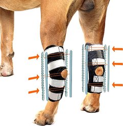 NeoAlly 3-in-1 Long Rear Leg Support Dog Splint Braces, Medium