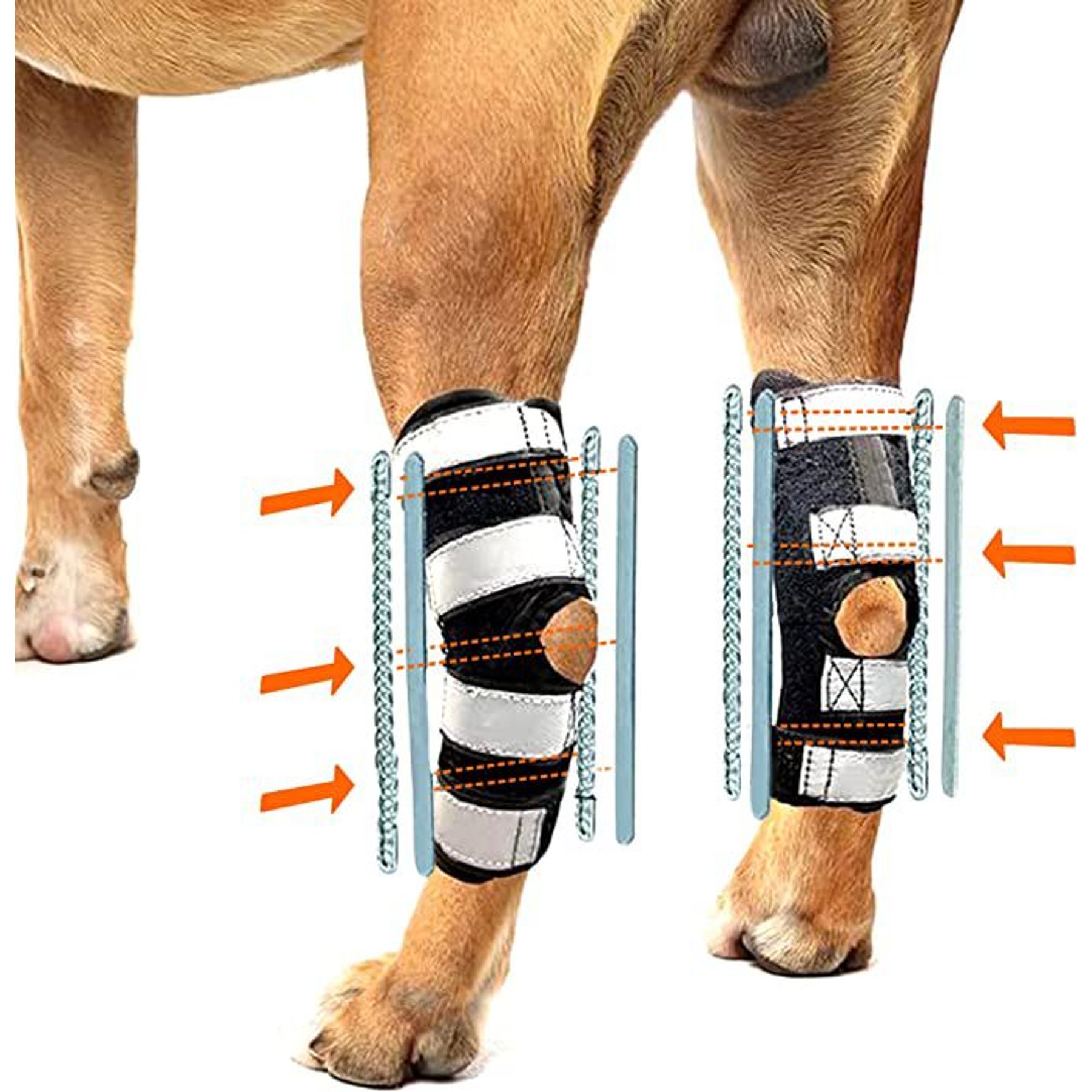 NeoAlly 3-in-1 Long Rear Leg Support Dog Splint Braces, Medium