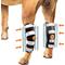 Show in main carousel: NeoAlly 3-in-1 Long Rear Leg Support Dog Splint Braces, Small slide 1 of 9
