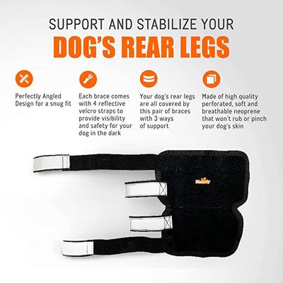 Show full view: NeoAlly 3-in-1 Long Rear Leg Support Dog Splint Braces, Small slide 7 of 9