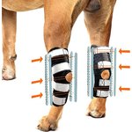 LABRA Canine Shoulder Elbow Brace Left Leg Dog Wrap, X-Large - Chewy.com