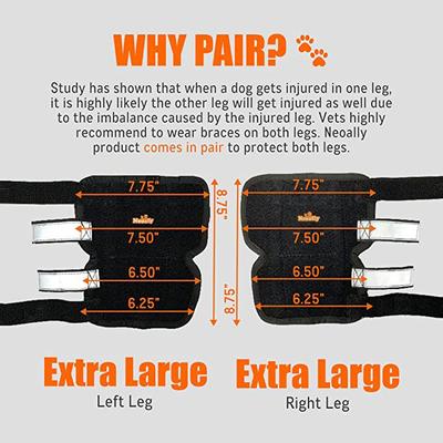 Show full view: NeoAlly 3-in-1 Long Rear Leg Support Dog Splint Braces, X-Large slide 3 of 9