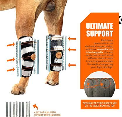 Show full view: NeoAlly 3-in-1 Long Rear Leg Support Dog Splint Braces, X-Small slide 4 of 9