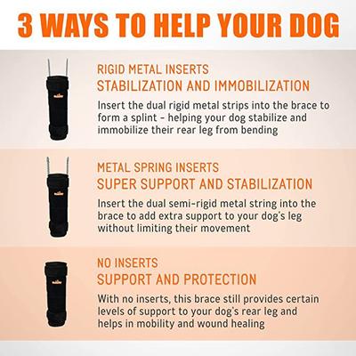 Show full view: NeoAlly 3-in-1 Long Rear Leg Support Dog Splint Braces, X-Small slide 6 of 9
