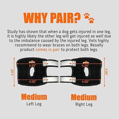 Show full view: NeoAlly 3-in-1 Short Rear Leg Support Small Dog Splint Braces, Medium slide 3 of 9