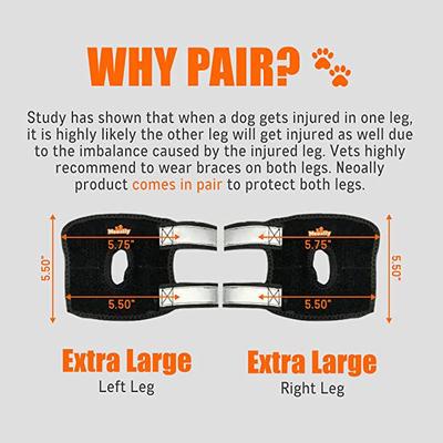 Show full view: NeoAlly 3-in-1 Short Rear Leg Support Small Dog Splint Braces, X-Large slide 3 of 9