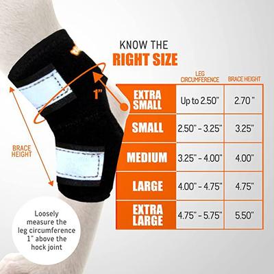 Show full view: NeoAlly 3-in-1 Short Rear Leg Support Small Dog Splint Braces, X-Small slide 5 of 9