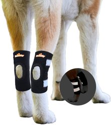 NeoAlly Back Hock Dog Brace, Large, 2 count