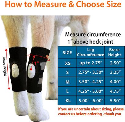 Show full view: NeoAlly Back Hock Dog Brace, Large, 2 count slide 4 of 10