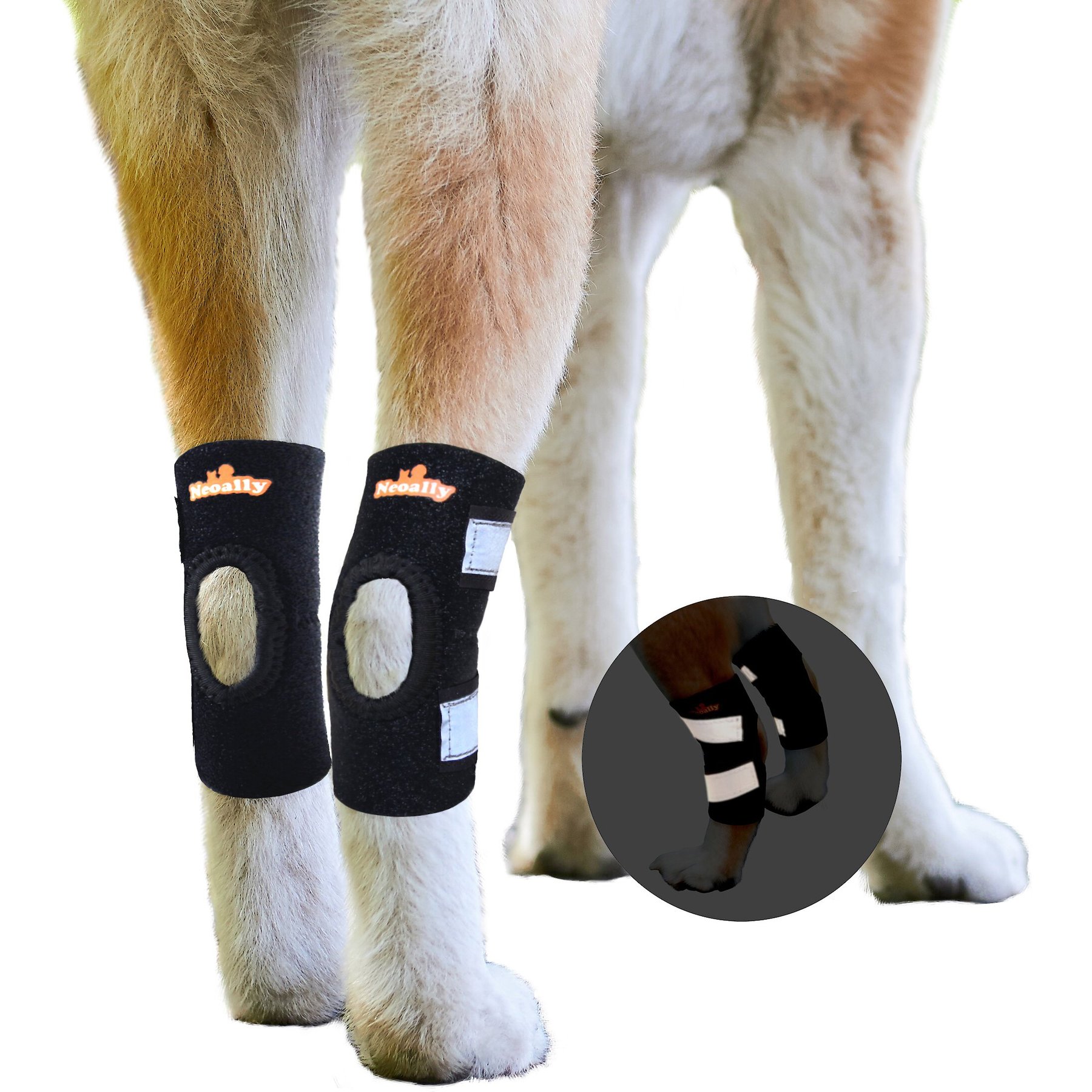 NeoAlly Back Hock Dog Brace, Medium, 2 count