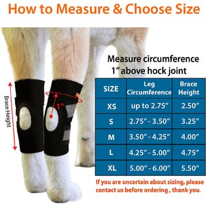 NeoAlly Back Hock Dog Brace, Medium, 2 count