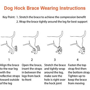 NeoAlly Back Hock Dog Brace, Medium, 2 count