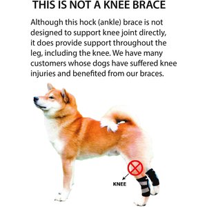 NeoAlly Back Hock Dog Brace, Medium, 2 count