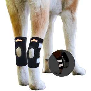 NeoAlly Back Hock Dog Brace, Small, 2 count