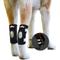 Show in main carousel: NeoAlly Back Hock Dog Brace, Small, 2 count slide 1 of 10