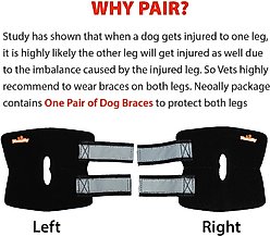NeoAlly Back Hock Dog Brace, Small, 2 count slide 2 of 7