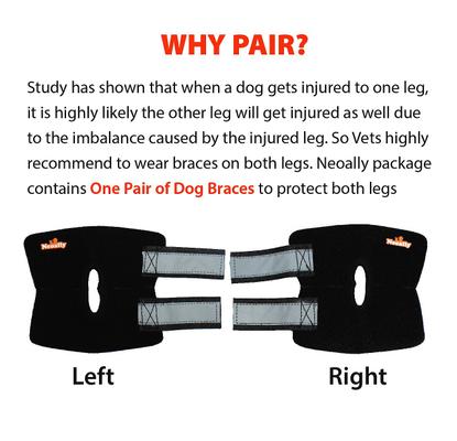 Show full view: NeoAlly Back Hock Dog Brace, Small, 2 count slide 3 of 10