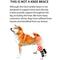 Show in main carousel: NeoAlly Back Hock Dog Brace, Small, 2 count slide 6 of 10