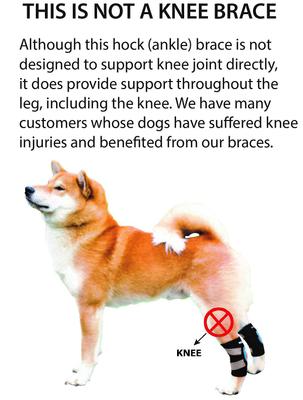 Show full view: NeoAlly Back Hock Dog Brace, X-Small, 2 count slide 6 of 10