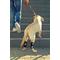 Show in main carousel: NeoAlly Back Hock Dog Brace, X-Small, 2 count slide 7 of 10