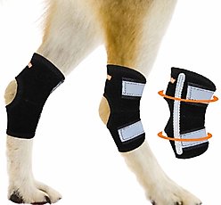 NeoAlly Back Hock Metal Spring Support Dog Brace, Large