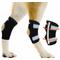 Show in main carousel: NeoAlly Back Hock Metal Spring Support Dog Brace, Large slide 1 of 10