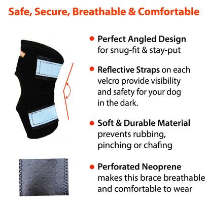 Show full view: NeoAlly Back Hock Metal Spring Support Dog Brace, Medium slide 3 of 10