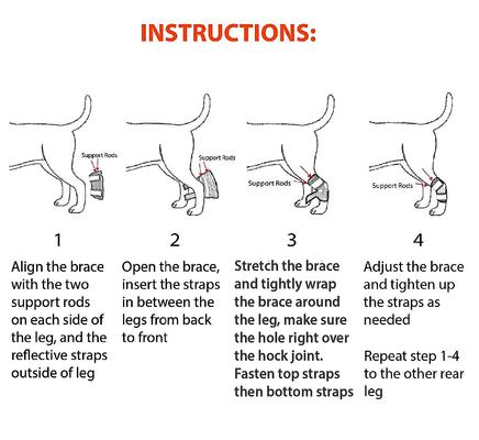 Show full view: NeoAlly Back Hock Metal Spring Support Dog Brace, Medium slide 7 of 10