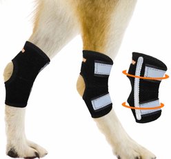 NeoAlly Back Hock Metal Spring Support Dog Brace, Small