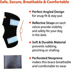 NeoAlly Back Hock Metal Spring Support Dog Brace, Small slide 2 of 7