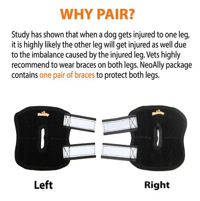 Show full view: NeoAlly Back Hock Metal Spring Support Dog Brace, Small slide 5 of 10