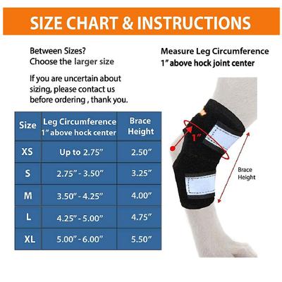 Show full view: NeoAlly Back Hock Metal Spring Support Dog Brace, Small slide 6 of 10