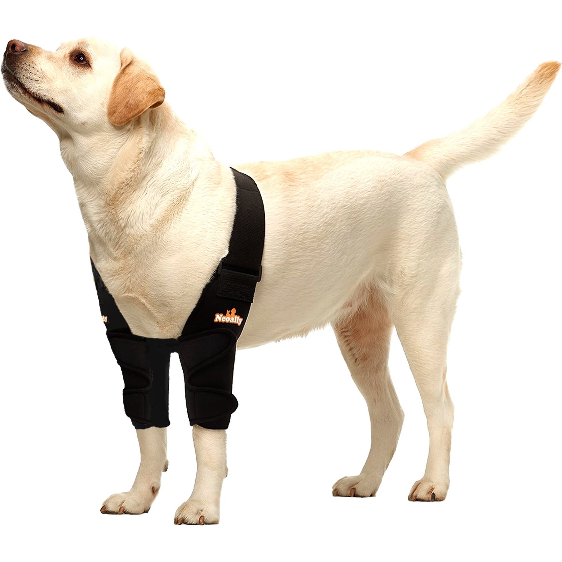 NeoAlly Elbow Protector Dog & Cat Support Brace, Both Legs, Medium