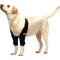 Show in main carousel: NeoAlly Elbow Protector Dog & Cat Support Brace, Both Legs, Small slide 1 of 12