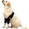 Show in main carousel: NeoAlly Elbow Protector Dog & Cat Support Brace, Both Legs, X-Large slide 3 of 12