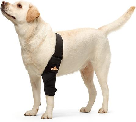 Show full view: NeoAlly Elbow Protector Dog & Cat Support Brace, Left Leg, X-Large slide 1 of 11