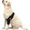 Show in main carousel: NeoAlly Elbow Protector Dog & Cat Support Brace, Left Leg, X-Large slide 5 of 11