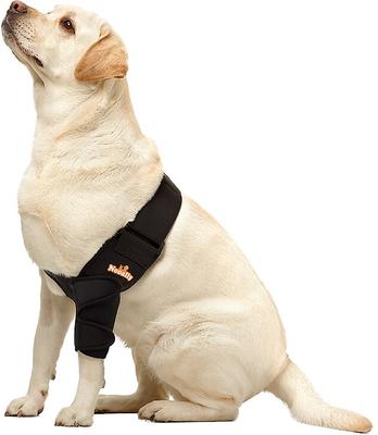 Show full view: NeoAlly Elbow Protector Dog & Cat Support Brace, Left Leg, X-Large slide 5 of 11