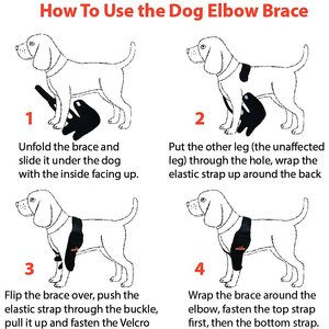 NeoAlly Elbow Protector Dog & Cat Support Brace, Right Leg, Large