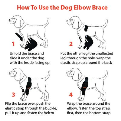 Show full view: NeoAlly Elbow Protector Dog & Cat Support Brace, Right Leg, Large slide 6 of 11