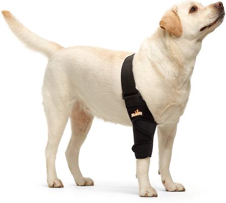 Show full view: NeoAlly Elbow Protector Dog & Cat Support Brace, Right Leg, Small slide 1 of 11