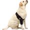 Show in main carousel: NeoAlly Elbow Protector Dog & Cat Support Brace, Right Leg, Small slide 5 of 11