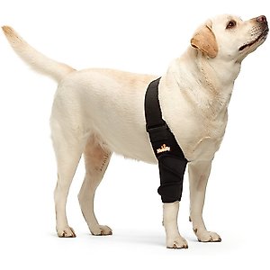 NeoAlly Elbow Protector Dog & Cat Support Brace, Right Leg, X-Large
