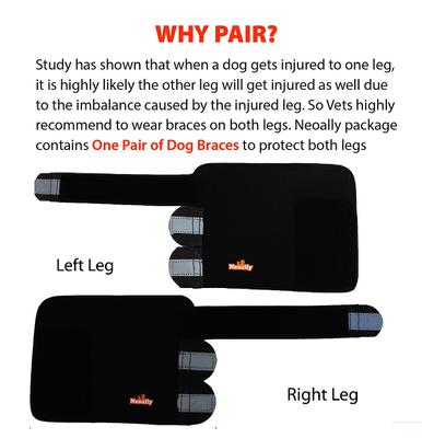 Show full view: NeoAlly Front Leg Dog Brace, Large/X-Large, 2 count slide 3 of 10
