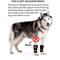 Show in main carousel: NeoAlly Front Leg Dog Brace, S/M, 2 count slide 6 of 10