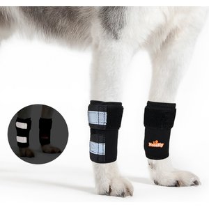 NeoAlly Front Leg Dog Brace, XX-Small/X-Small, 2 count