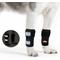 Show in main carousel: NeoAlly Front Leg Dog Brace, XX-Small/X-Small, 2 count slide 1 of 10