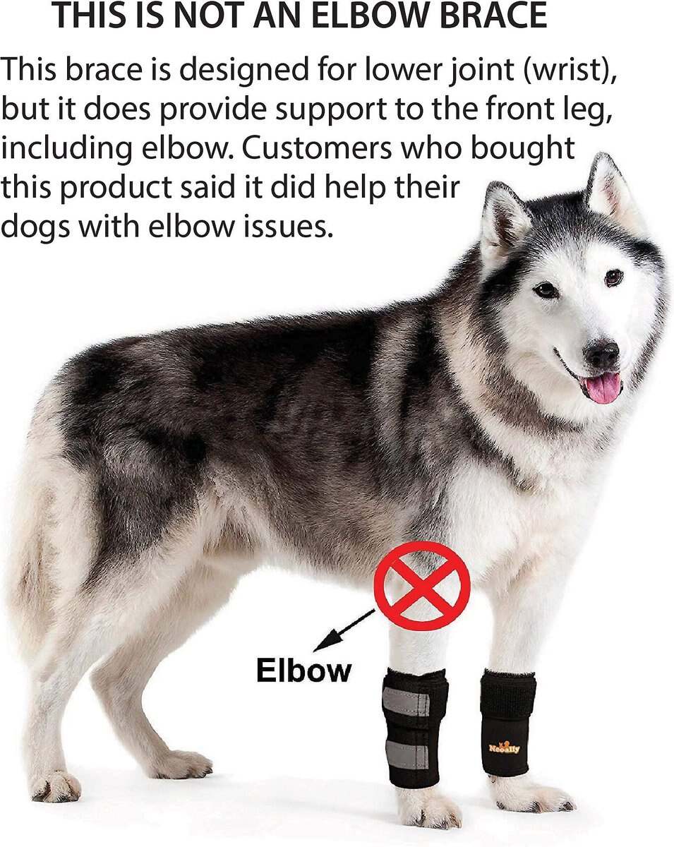 NeoAlly Front Leg Dog Brace