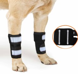 NeoAlly Front Leg Metal Spring Support Dog Brace, Large / X-Large