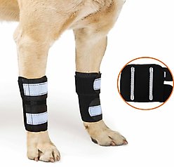 NeoAlly Front Leg Metal Spring Support Dog Brace, Small / Medium